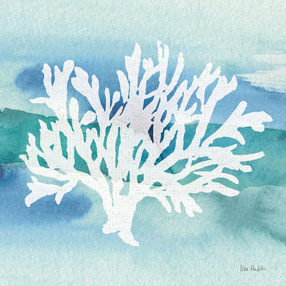Sea Life Coral II by Lisa Audit. SKU 16813a. Archival Giclee Fine art print for wall decor.