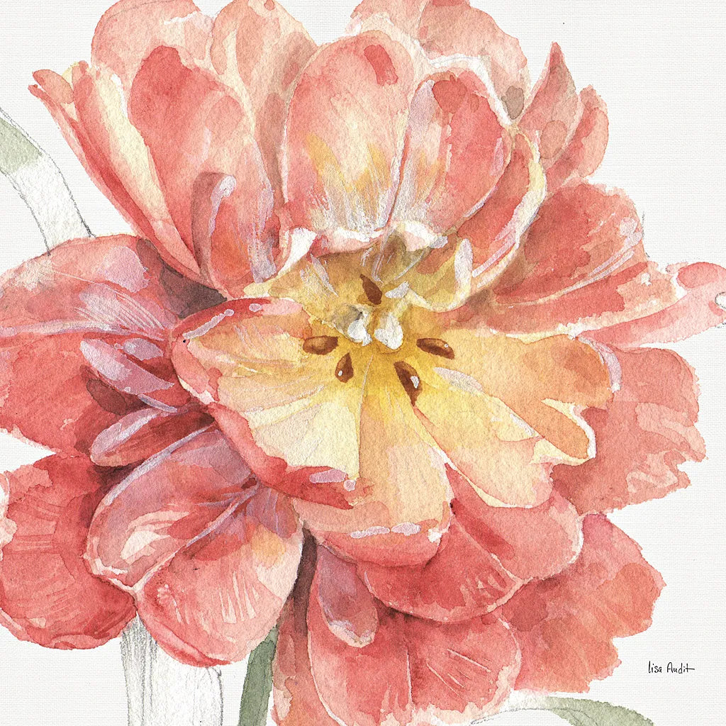 Spring Meadow V by Lisa Audit. SKU 51764a. Archival Giclee Fine art print for wall decor.