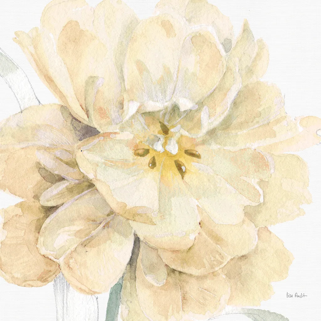 Spring Meadow V Cream by Lisa Audit. SKU 68838a. Archival Giclee Fine art print for wall decor.