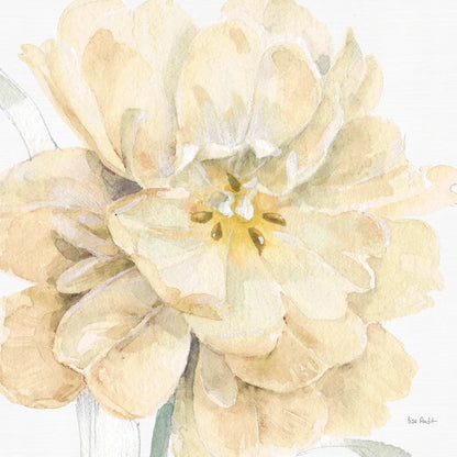 Spring Meadow V Cream by Lisa Audit. SKU 68838a. Archival Giclee Fine art print for wall decor.