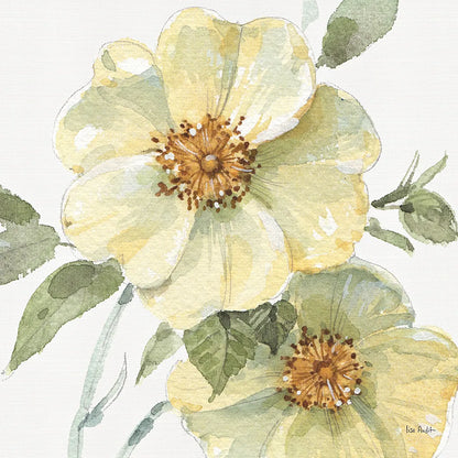 Spring Meadow VII by Lisa Audit. SKU 51766a. Archival Giclee Fine art print for wall decor.