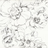 Summer Bloom II BW by Lisa Audit. SKU 48091a. Archival Giclee Fine art print for wall decor.