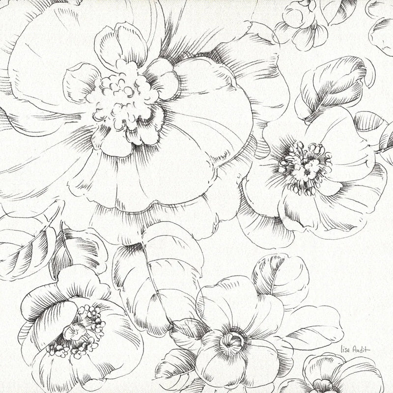 Summer Bloom II BW by Lisa Audit. SKU 48091a. Archival Giclee Fine art print for wall decor.
