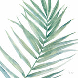 Tropical Blush IX BG by Lisa Audit. SKU 56373a. Archival Giclee Fine art print for wall decor.