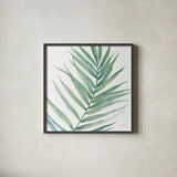 Tropical Blush IX BG by Lisa Audit. Shown in a sleek black glass frame for a contemporary gallery look. Available as an archival giclee rolled canvas, fine art paper, or poster print. SKU 56373a.