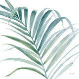 Tropical Blush V BG by Lisa Audit. SKU 56372a. Archival Giclee Fine art print for wall decor.