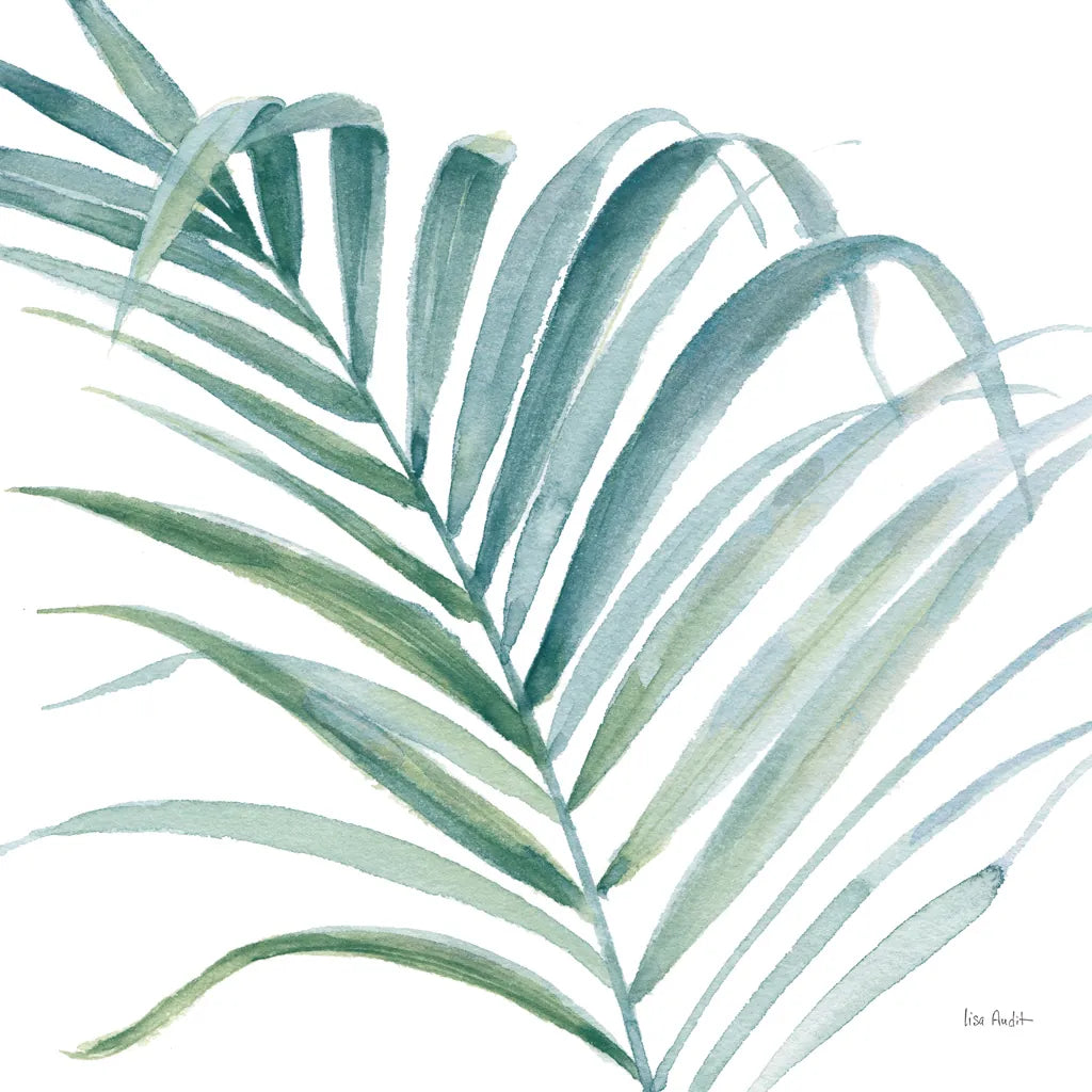 Tropical Blush V BG by Lisa Audit. SKU 56372a. Archival Giclee Fine art print for wall decor.