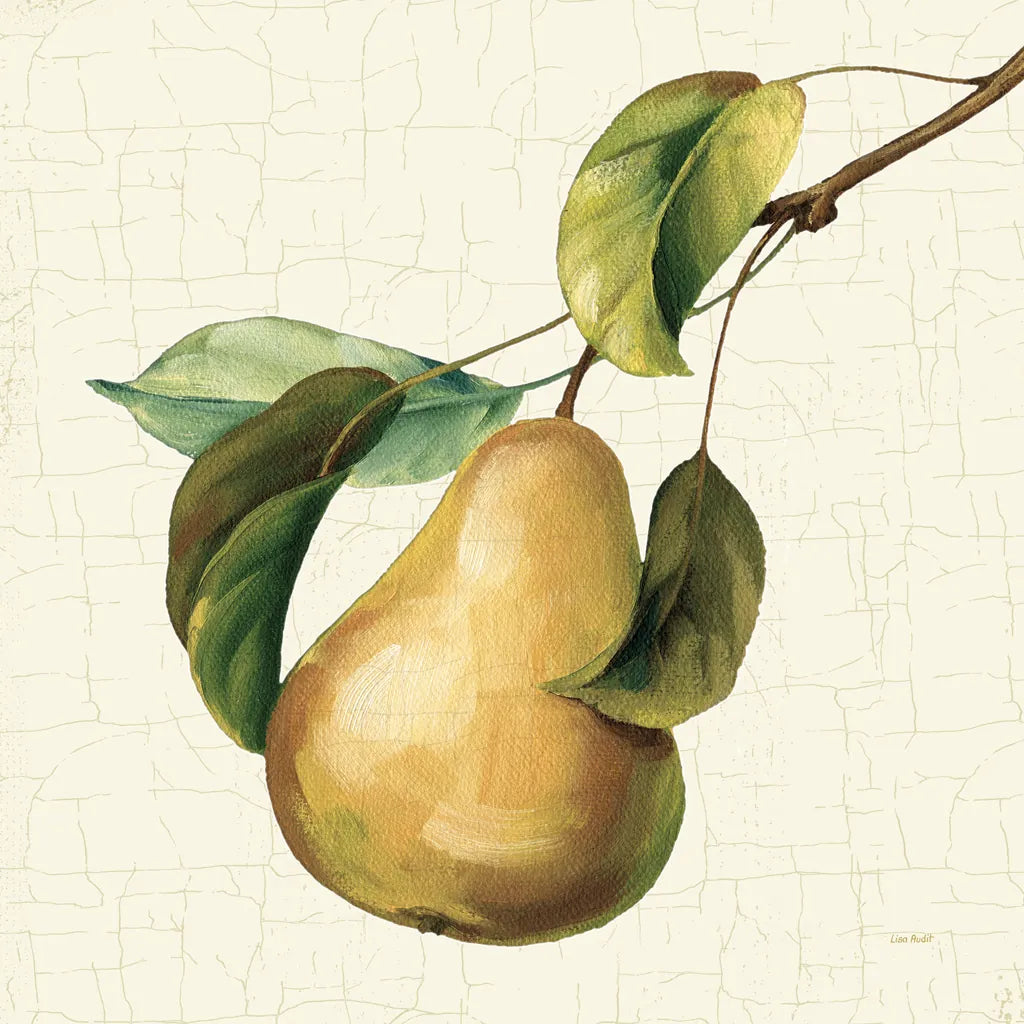 Vintage Fruit du Marche by Lisa Audit. SKU 75553a. Archival Giclee Fine art print for wall decor.