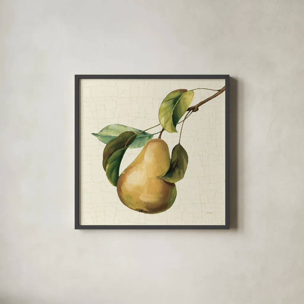 Vintage Fruit du Marche by Lisa Audit. Shown in a sleek black glass frame for a contemporary gallery look. Available as an archival giclee rolled canvas, fine art paper, or poster print. SKU 75553a.