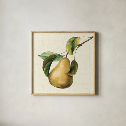 Vintage Fruit du Marche by Lisa Audit. Shown in a natural wood glass frame for a timeless modern aesthetic. Available as an archival giclee rolled canvas, fine art paper, or poster print. SKU 75553a.