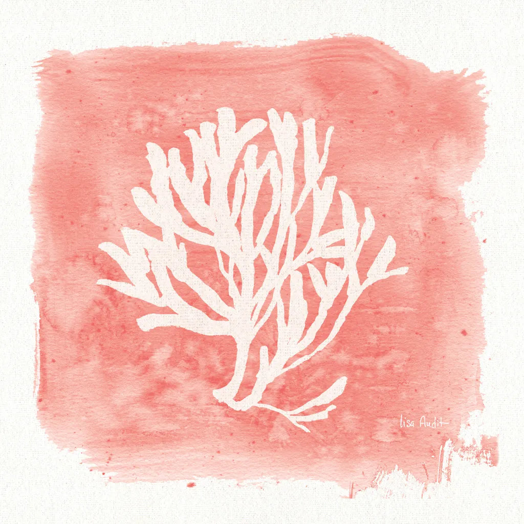 Water Coral Cove III by Lisa Audit. SKU 55931a. Archival Giclee Fine art print for wall decor.