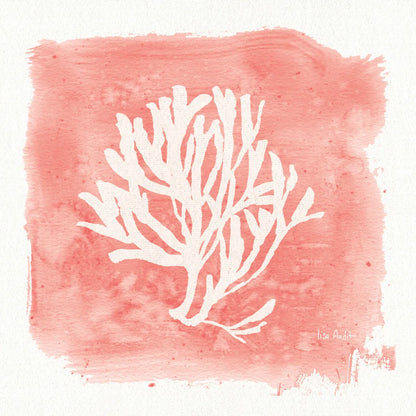 Water Coral Cove III by Lisa Audit. SKU 55931a. Archival Giclee Fine art print for wall decor.