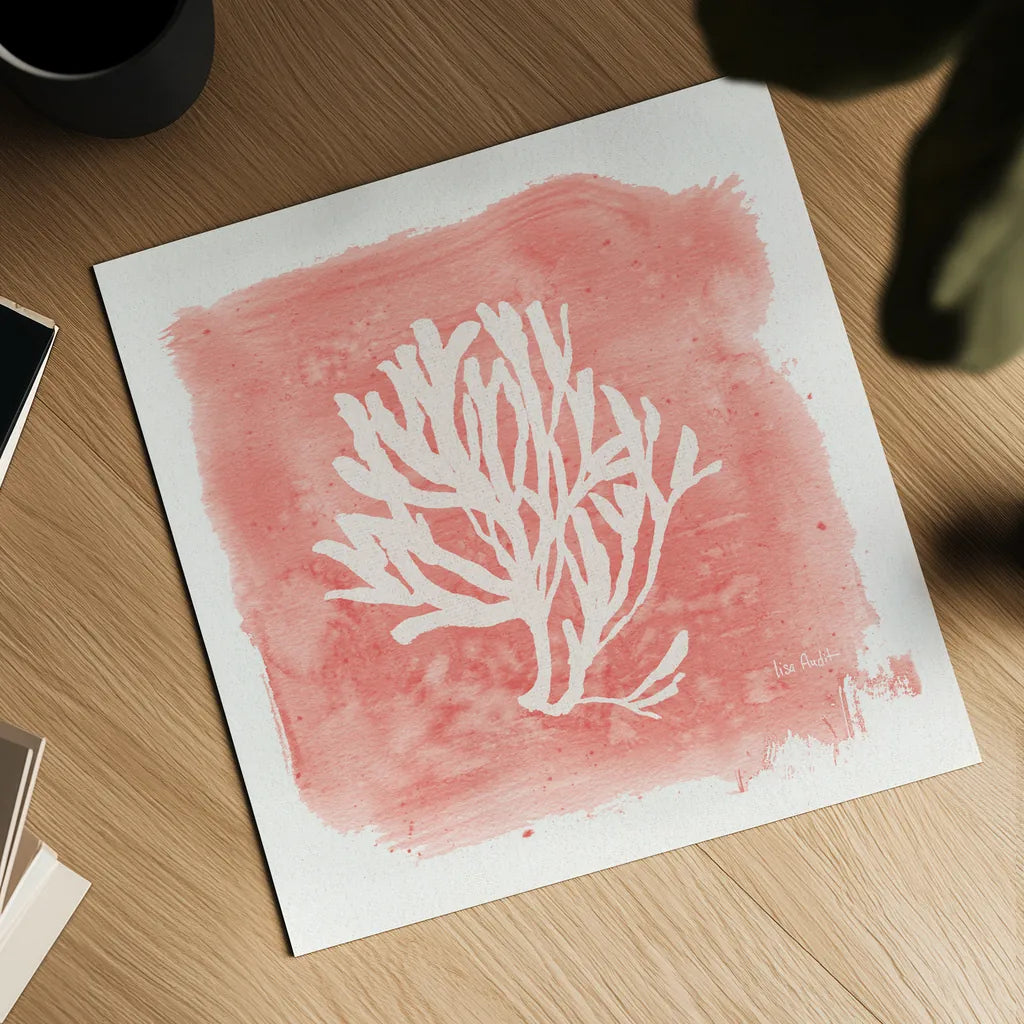 Water Coral Cove III by Lisa Audit. Shown as a detailed flat fine art print, highlighting archival giclee quality. Available as an archival giclee rolled canvas, fine art paper, or poster print. SKU 55931a.