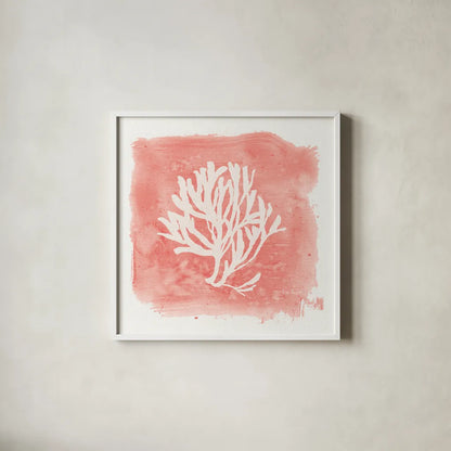 Water Coral Cove III by Lisa Audit. Shown in a crisp white glass frame for a clean and minimalist style. Available as an archival giclee rolled canvas, fine art paper, or poster print. SKU 55931a.
