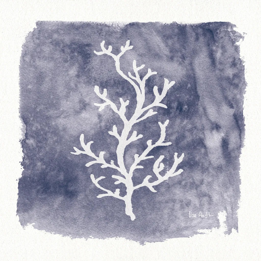 Water Coral Cove IV by Lisa Audit. SKU 55932a. Archival Giclee Fine art print for wall decor.