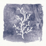 Water Coral Cove IV by Lisa Audit. SKU 55932a. Archival Giclee Fine art print for wall decor.