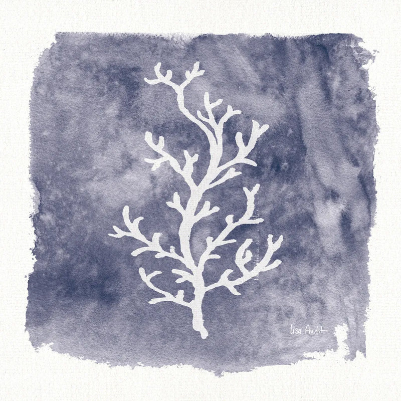 Water Coral Cove IV by Lisa Audit. SKU 55932a. Archival Giclee Fine art print for wall decor.