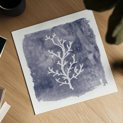 Water Coral Cove IV by Lisa Audit. Shown as a detailed flat fine art print, highlighting archival giclee quality. Available as an archival giclee rolled canvas, fine art paper, or poster print. SKU 55932a.