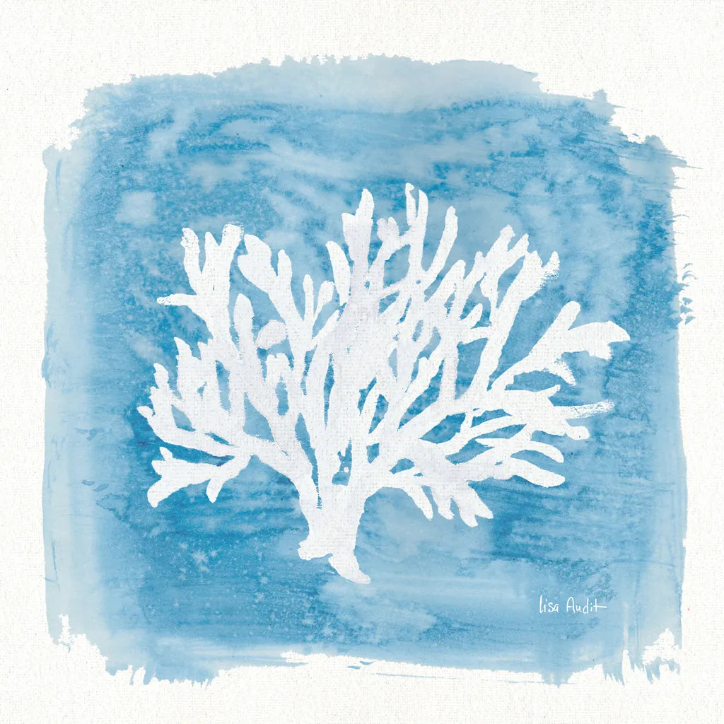 Water Coral Cove VI by Lisa Audit. SKU 55934a. Archival Giclee Fine art print for wall decor.