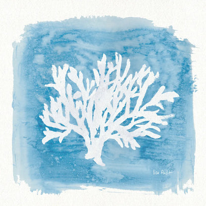 Water Coral Cove VI by Lisa Audit. SKU 55934a. Archival Giclee Fine art print for wall decor.