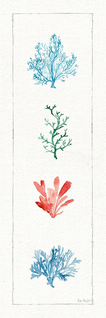 Water Coral VIII by Lisa Audit