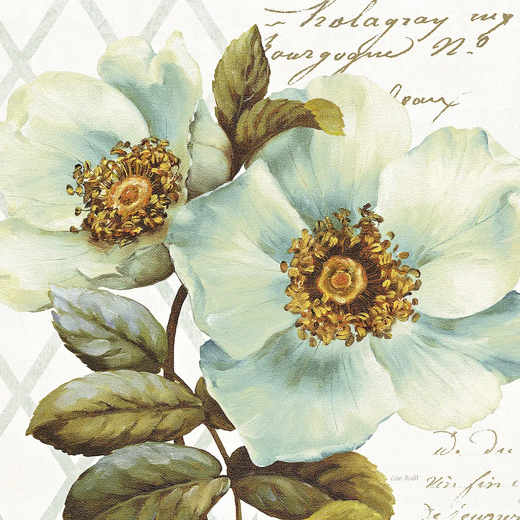 White Floral Bliss I by Lisa Audit. SKU 13008a. Archival Giclee Fine art print for wall decor.