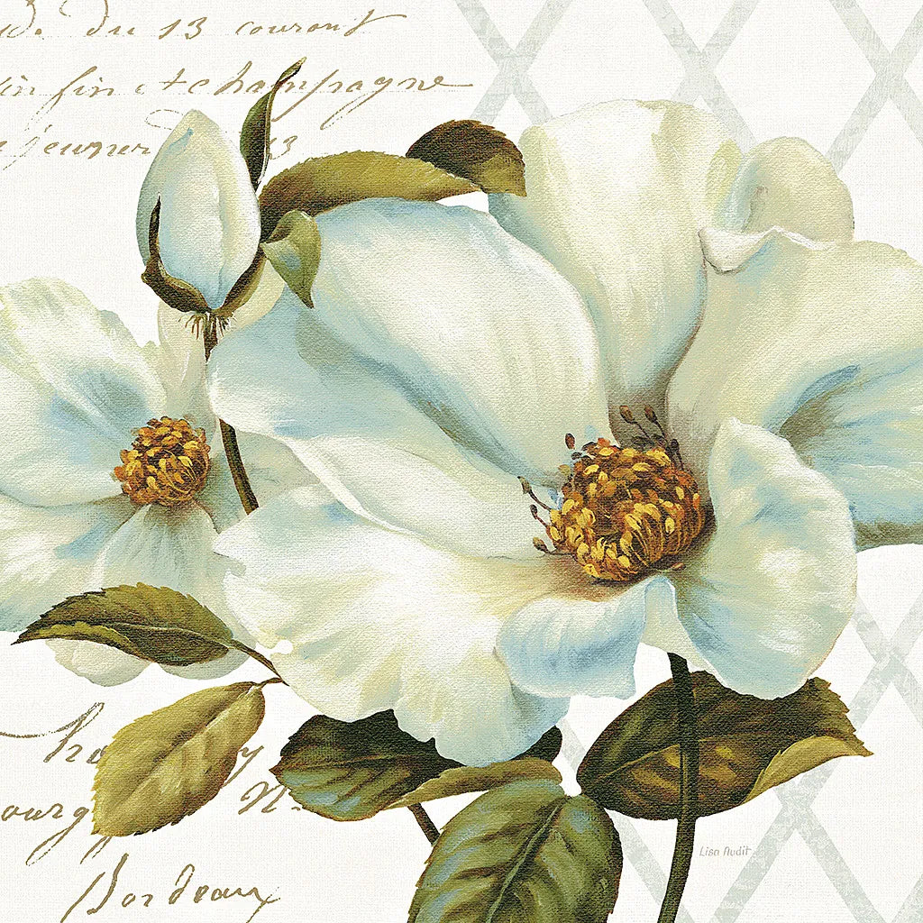 White Floral Bliss II by Lisa Audit. SKU 13009a. Archival Giclee Fine art print for wall decor.