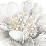 White Garden V by Lisa Audit. SKU 44192a. Archival Giclee Fine art print for wall decor.