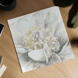 White Garden V by Lisa Audit. Shown as a detailed flat fine art print, highlighting archival giclee quality. Available as an archival giclee rolled canvas, fine art paper, or poster print. SKU 44192a.
