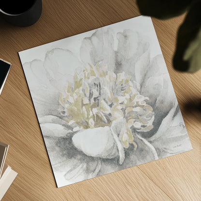 White Garden V by Lisa Audit. Shown as a detailed flat fine art print, highlighting archival giclee quality. Available as an archival giclee rolled canvas, fine art paper, or poster print. SKU 44192a.