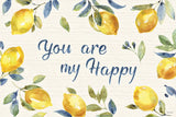 Zest of Happy IV by Lisa Audit. SKU 51812i. Archival Giclee Fine art print for wall decor.