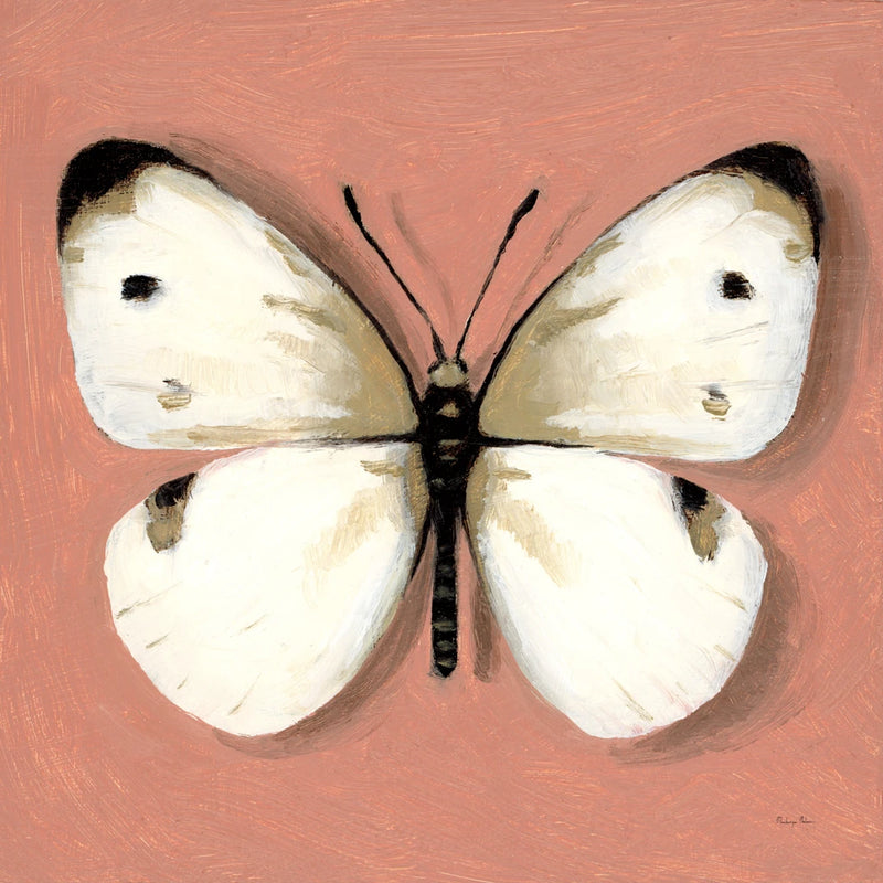 Cabbage White Butterfly by Mackenzie Nelson
