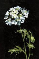 Catching Breath by Mackenzie Nelson. SKU 102596h. Archival Giclee Fine art print for wall decor.