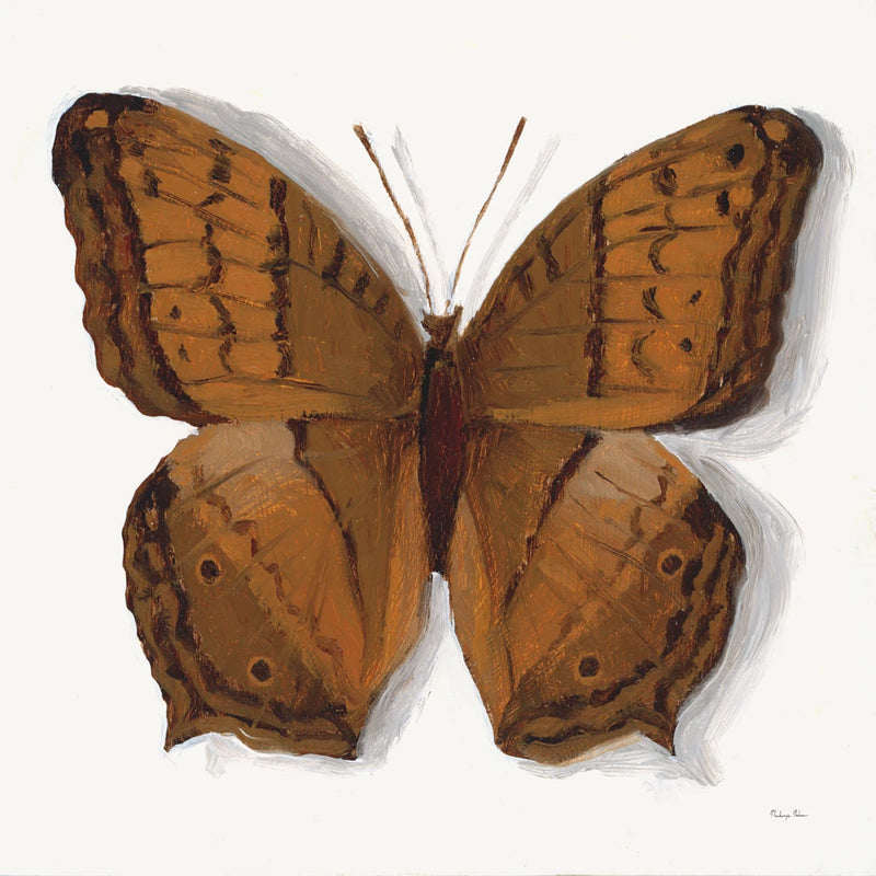 Common Cruiser Butterfly by Mackenzie Nelson