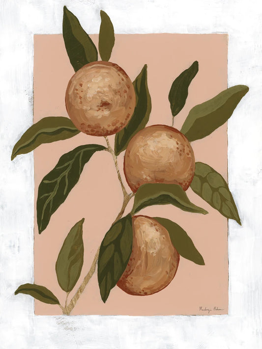 Orange Study II by Mackenzie Nelson