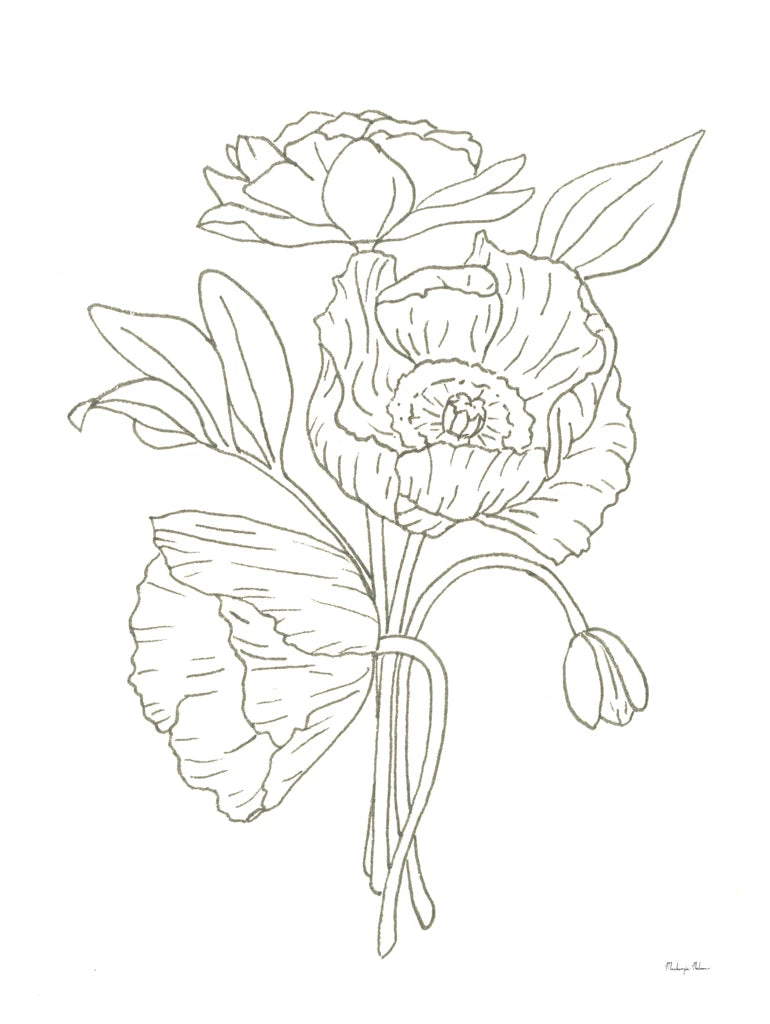 Poppy Study by Mackenzie Nelson