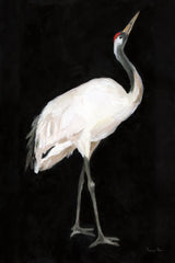 Scarlet by Mackenzie Nelson. SKU 102586h. Archival Giclee Fine art print for wall decor.