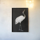 Scarlet by Mackenzie Nelson. shown as a paper print in a black flame. Available as a archival giclee rolled canvas, fine art paper, or poster print. SKU 102586h.