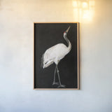 Scarlet by Mackenzie Nelson. shown as a paper print in a natural frame. Available as a archival giclee rolled canvas, fine art paper, or poster print. SKU 102586h.