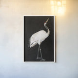 Scarlet by Mackenzie Nelson. shown as a paper print in a white frame. Available as a archival giclee rolled canvas, fine art paper, or poster print. SKU 102586h.
