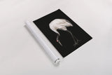 Scarlet II by Mackenzie Nelson. shown as a rolled paper print. Available as archival giclee rolled canvas, fine art paper, or poster print. SKU 103245h.