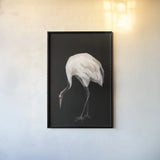 Scarlet II by Mackenzie Nelson. shown as a paper print in a black flame. Available as a archival giclee rolled canvas, fine art paper, or poster print. SKU 103245h.