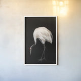 Scarlet II by Mackenzie Nelson. shown as a paper print in a white frame. Available as a archival giclee rolled canvas, fine art paper, or poster print. SKU 103245h.