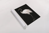 Scarlet II v2 by Mackenzie Nelson. shown as a rolled paper print. Available as archival giclee rolled canvas, fine art paper, or poster print. SKU 103509h.