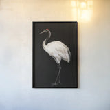 Scarlet II v2 by Mackenzie Nelson. shown as a paper print in a black flame. Available as a archival giclee rolled canvas, fine art paper, or poster print. SKU 103509h.