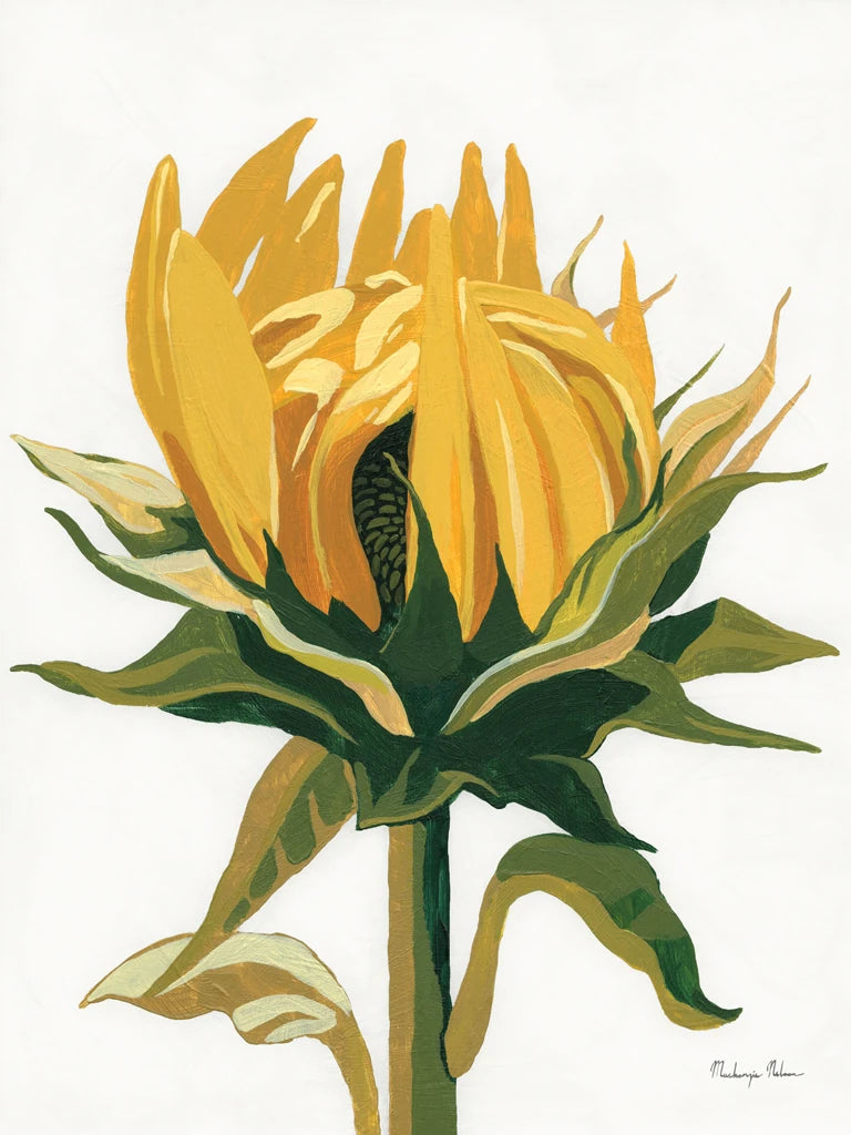 September Sunflowers I by Mackenzie Nelson