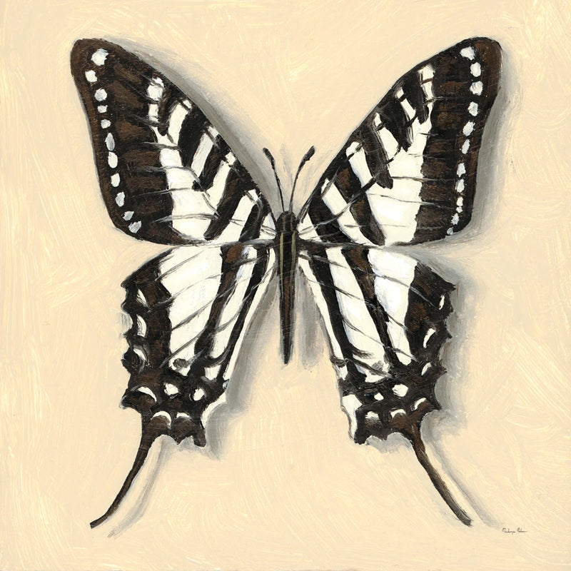 Spot Swordtail Butterfly by Mackenzie Nelson