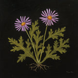 Vintage Chrysanthemum by Mackenzie Nelson. SKU 103108a. Archival Giclee Fine art print for wall decor.