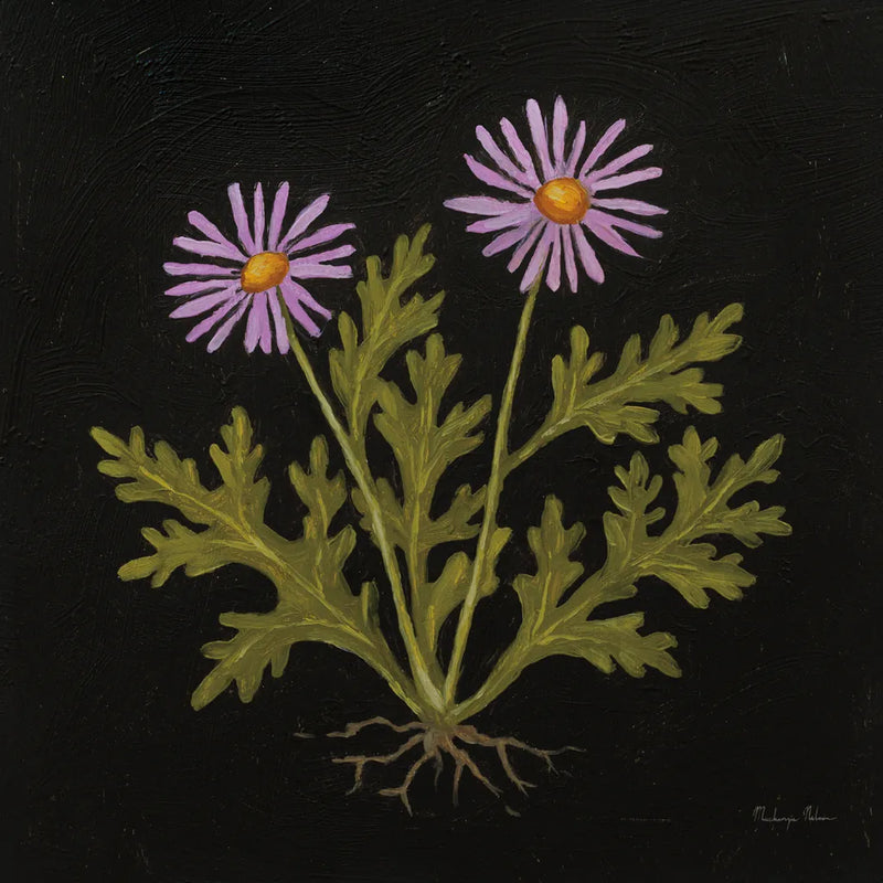 Vintage Chrysanthemum by Mackenzie Nelson. SKU 103108a. Archival Giclee Fine art print for wall decor.