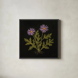 Vintage Chrysanthemum by Mackenzie Nelson. Shown in a sleek black glass frame for a contemporary gallery look. Available as an archival giclee rolled canvas, fine art paper, or poster print. SKU 103108a.